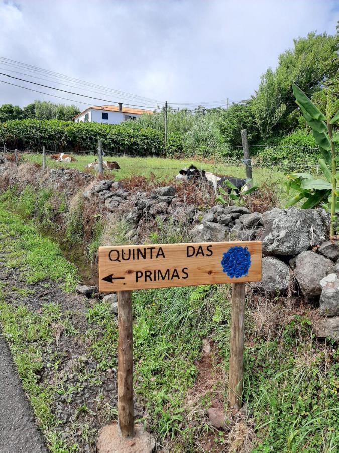 Quinta Das Primas Lomba  Kültér fotó